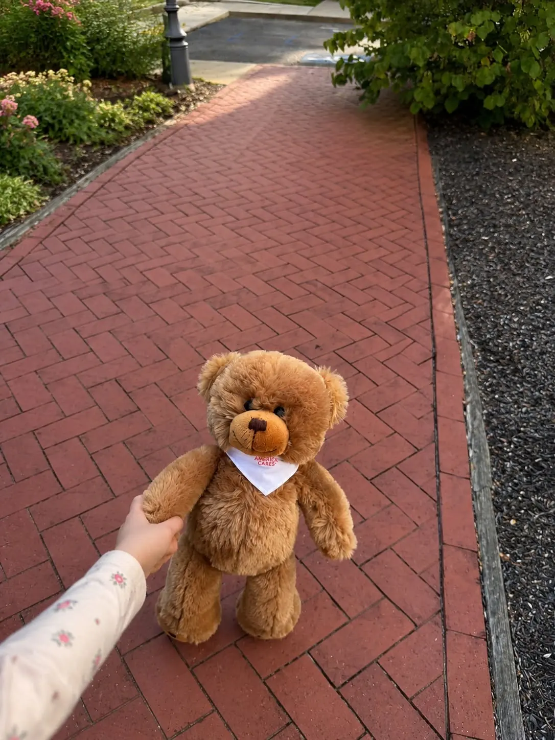 An America Cares teddy bear held above a brick garden path.