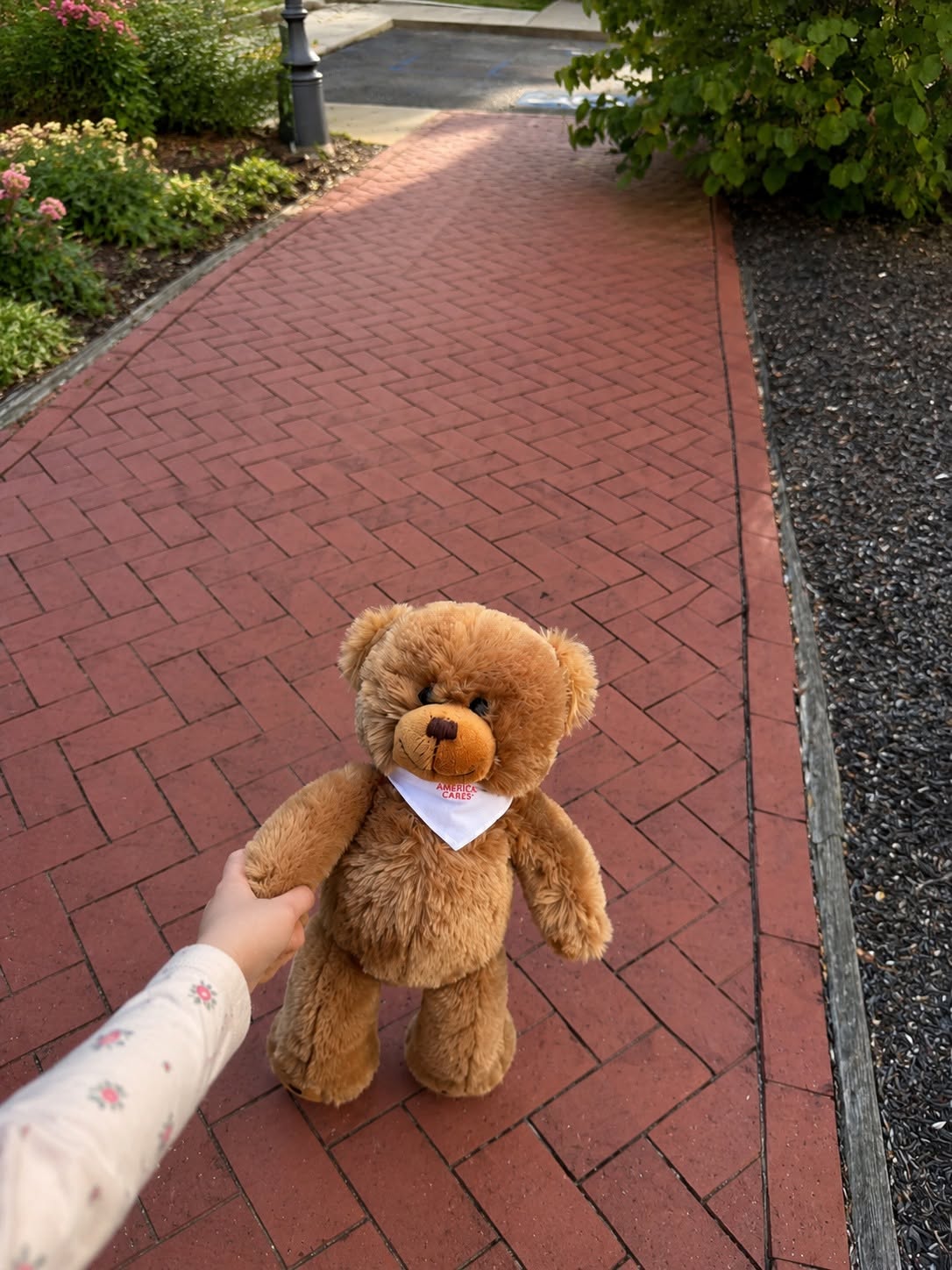 An America Cares International teddy bear held above a brick garden path.