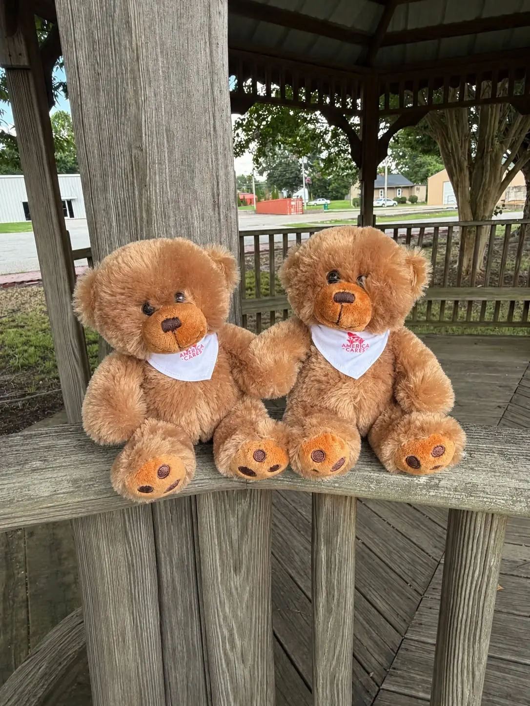 Two America Cares International teddy bears together on a wooden bench.